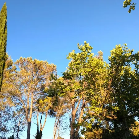 Le Mazet D'uzes Uzès